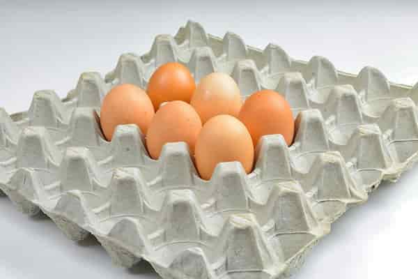 تصویر 1 از قیمت خرید تخم مرغ 12 عددی با فروش عمده